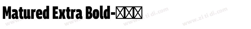 Matured Extra Bold字体转换